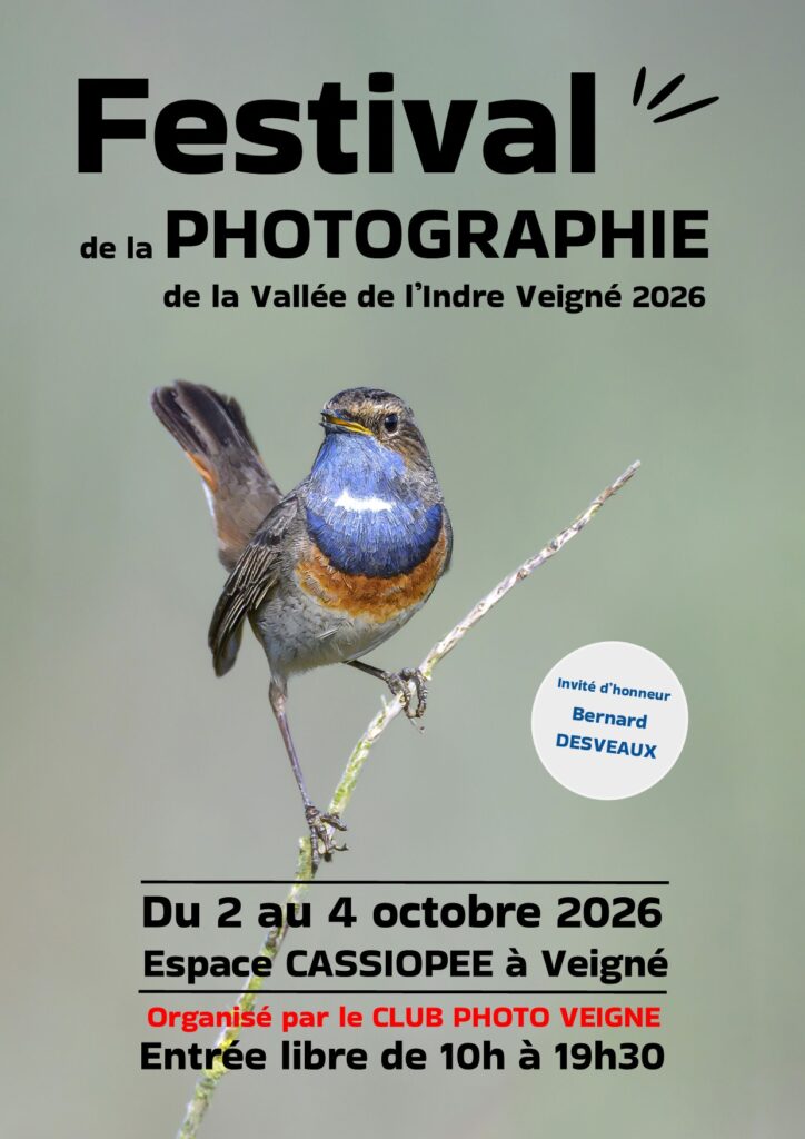 AFFICHE-FESTIVAL-2026-724x1024
