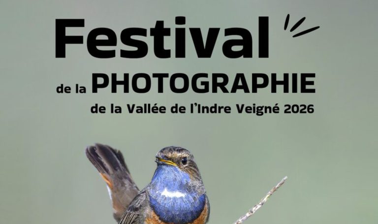 FestivalPhoto